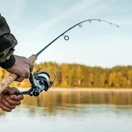 Right On The Lake, Apartment Ryn (Warmian-Masurian)